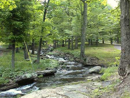 Winter Clove Creek