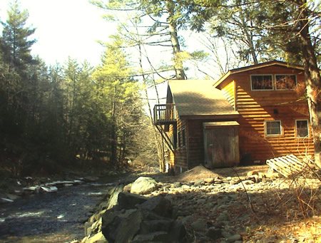 Charming Cottage Tucked Away in the Woods.