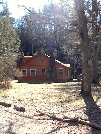 Charming Cottage Tucked Away in the Woods.