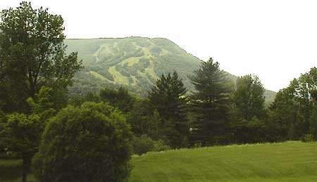 View from duplex bedroom