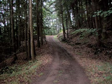 Enter the property down a long magical drive, over streams, deep into this 92 acre preserve.  Several logging roads (and electric) already exist on the property making it easier to develop and build.