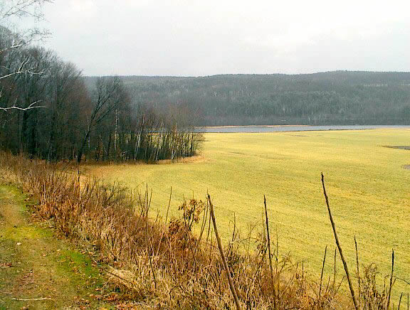 One of the last large, privately held, developable land parcels on the So. VT. Connecticut River. Great access to many level building sites with dramatic sweeping views of the river and valley. Over ½ mile of frontage of the Connecticut River, over 1 mile of stream frontage on the two year around streams running through the property.