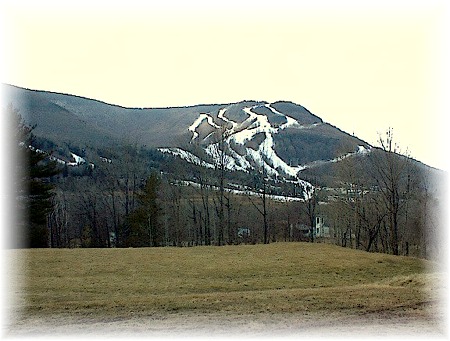The View