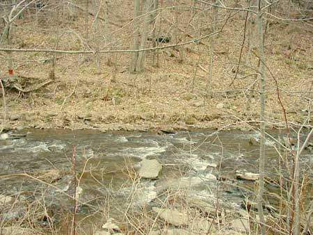 Affordable tiny cottage in the Catskill Park on a trout stream!!!