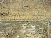 Affordable tiny cottage in the Catskill Park on a trout stream!!!