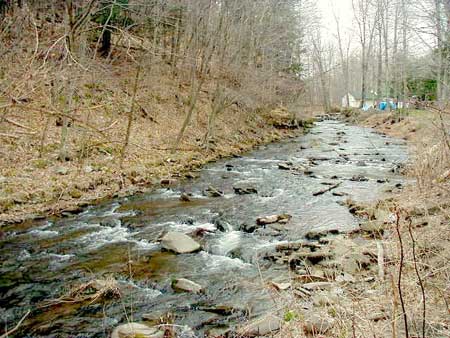 Affordable tiny cottage in the Catskill Park on a trout stream!!!