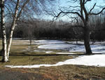 Pond