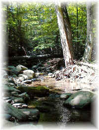 click to view enlargement