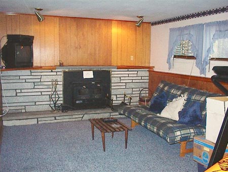 Fireplace insert burns coal, pellet or wood