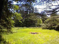 meadowweb.jpg (44551 bytes)
