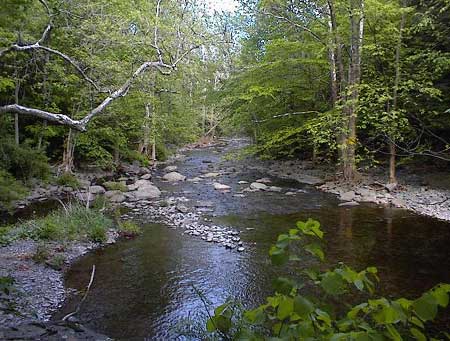 Sit on the porch and let the sound of the rushing stream wash over you!