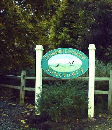 ELEGANT HOME - LARGEST AUDUBON PRESERVE