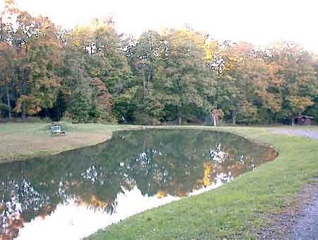 Pond