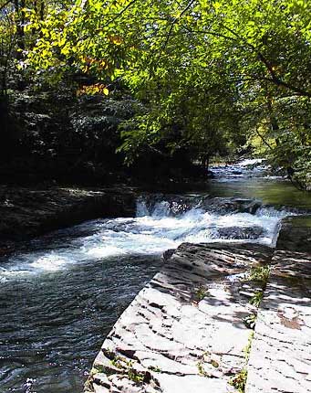 stream