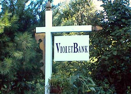 violet bank