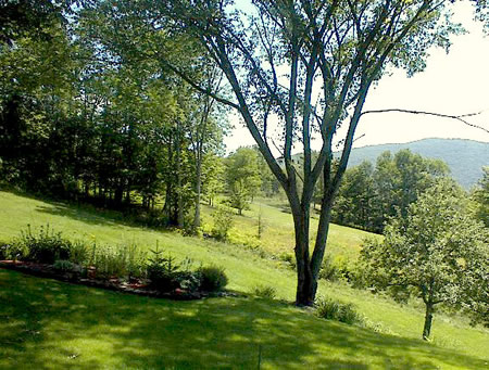 Set on three open acres in ski country, this excellent condition, beautifully restored 100+ year old farmhouse boasts 1900 sq ft, 4 bedrooms, huge stone fireplace, 4 car garage, jaccuzzi, 2 full baths, and some of the most stunning views around. A short walk to thousands of acres of State land, 2 1/2 hours from NYC, minutes to three ski areas. A real find. Move right in.