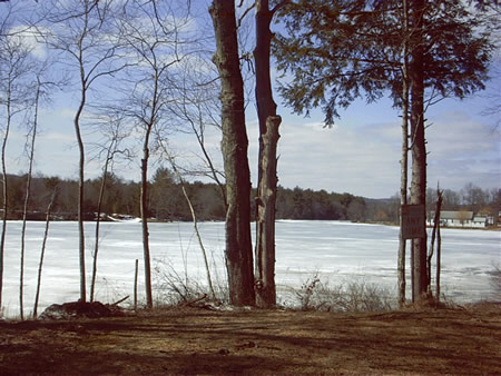 Photo of the lake taken from a neighboring property